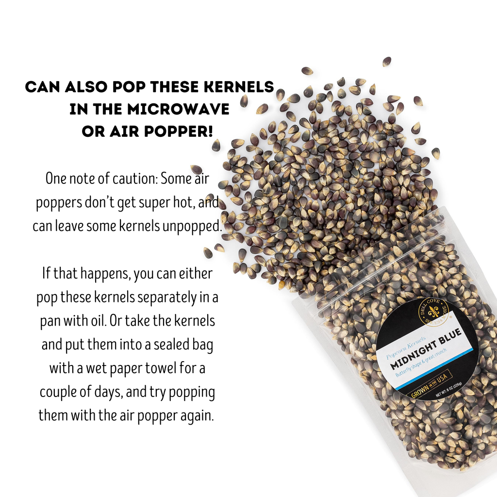 Midnight Blue Popcorn Kernels - Half Pound Bag - Movie Snack