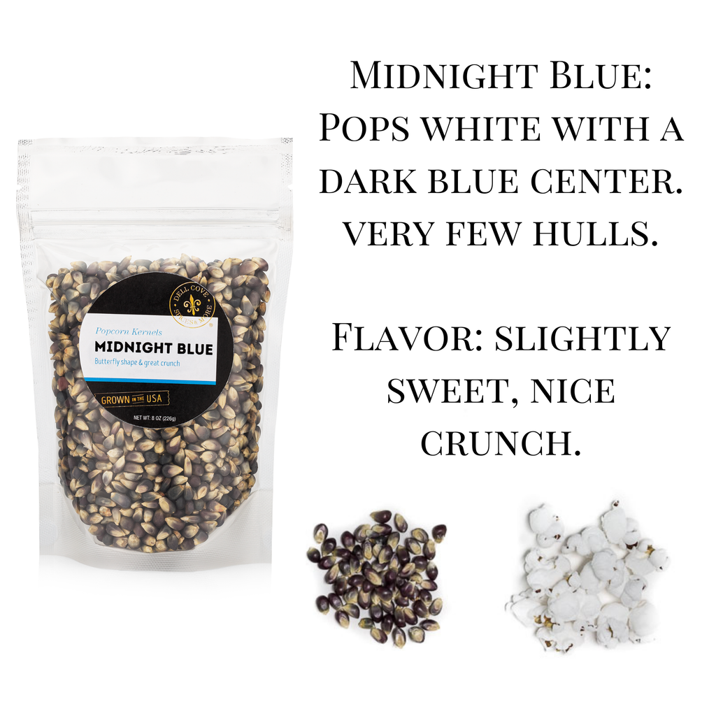Midnight Blue Popcorn Kernels - Half Pound Bag - Movie Snack