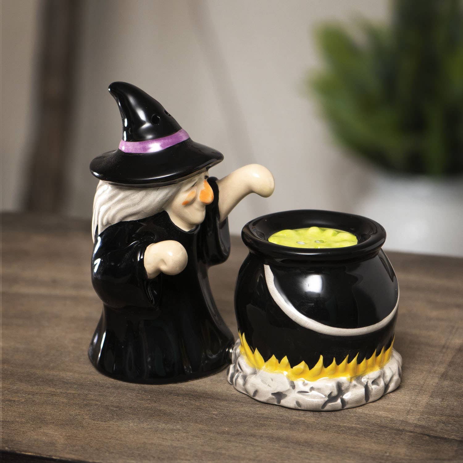 Witch and Cauldron Ceramic Salt & Pepper Shaker Set