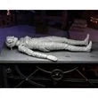 Universal Monsters Ultimate Bride of Frankenstein Color 7-Inch Scale Action Figure NECA Frankenstein Action Figures (Not Yet Available)