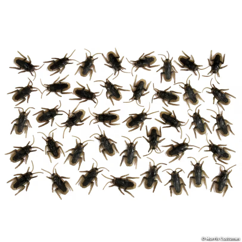 Cockroaches - Bag Of 40