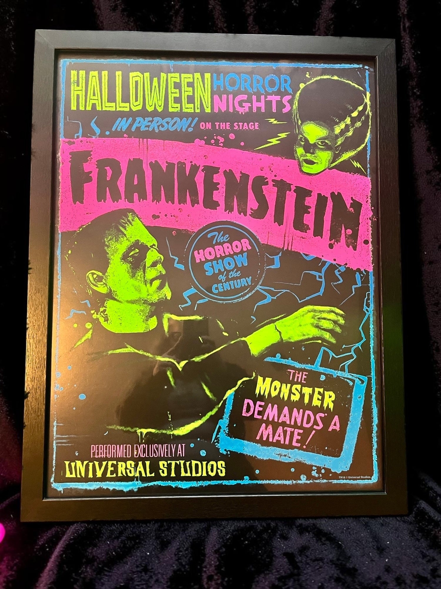 Universal Horror Frank and Bride Framed Poster