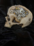 Steampunk Skull with Gears