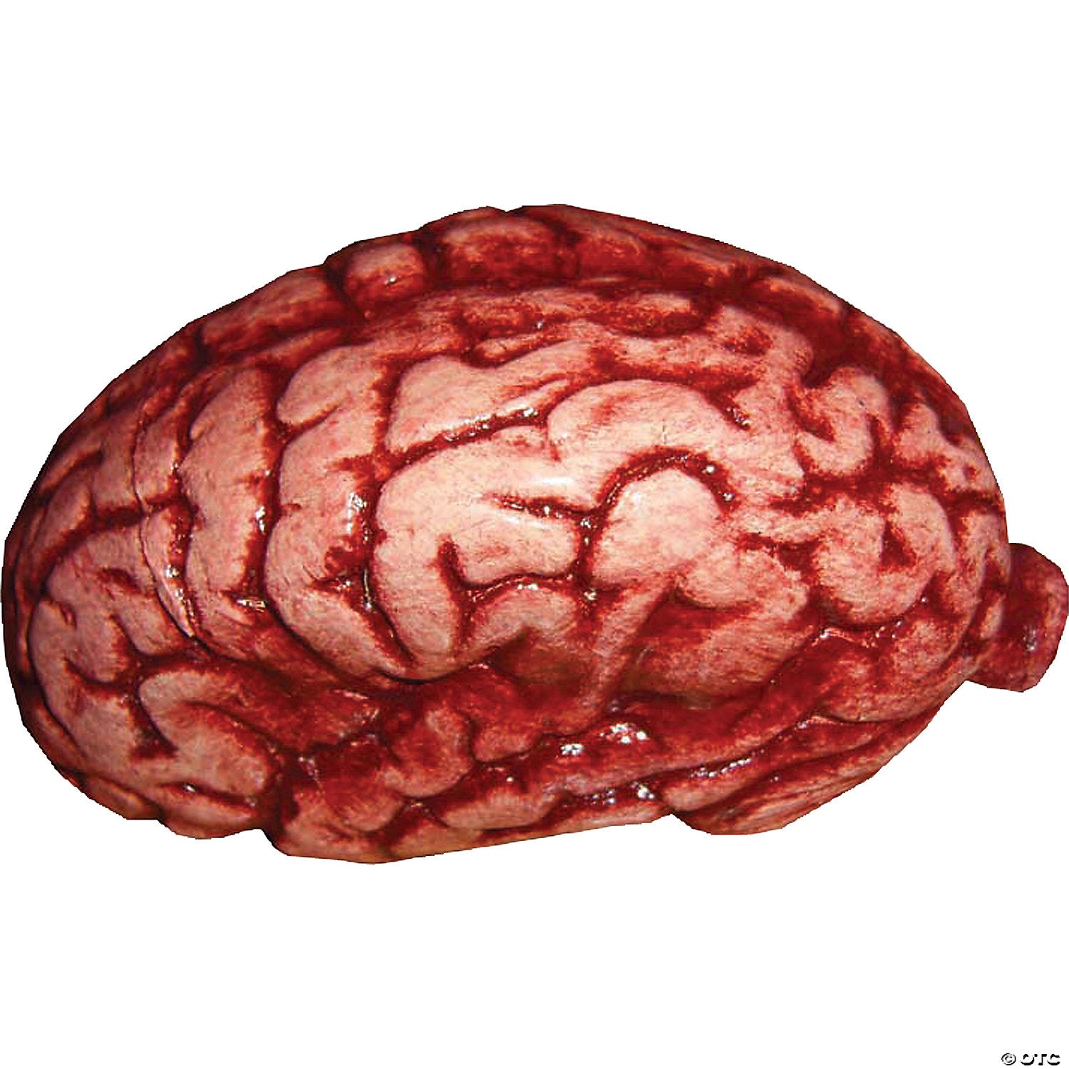 BRAIN DECORATION
