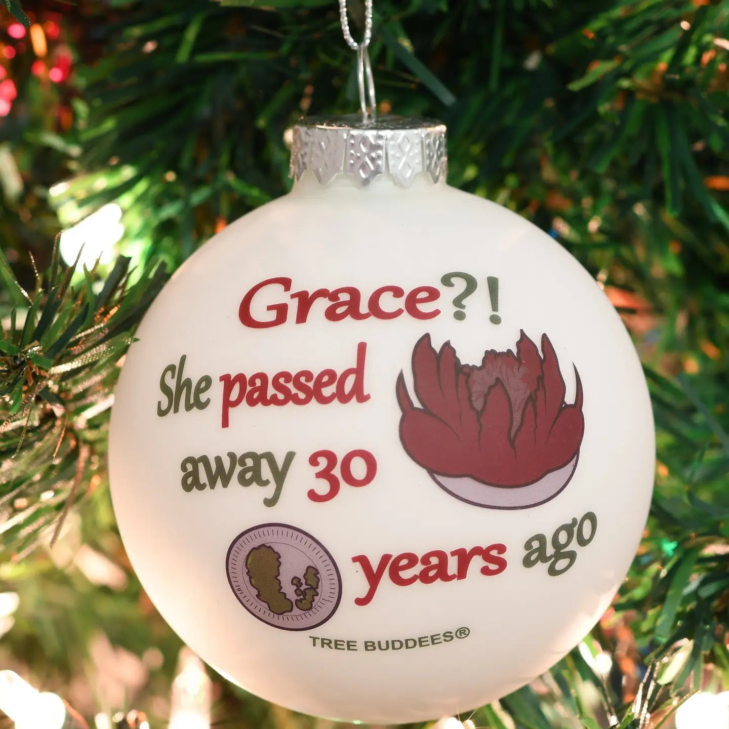 Grace?! She Passed Away 30 Years Ago Glass Christmas Ornament