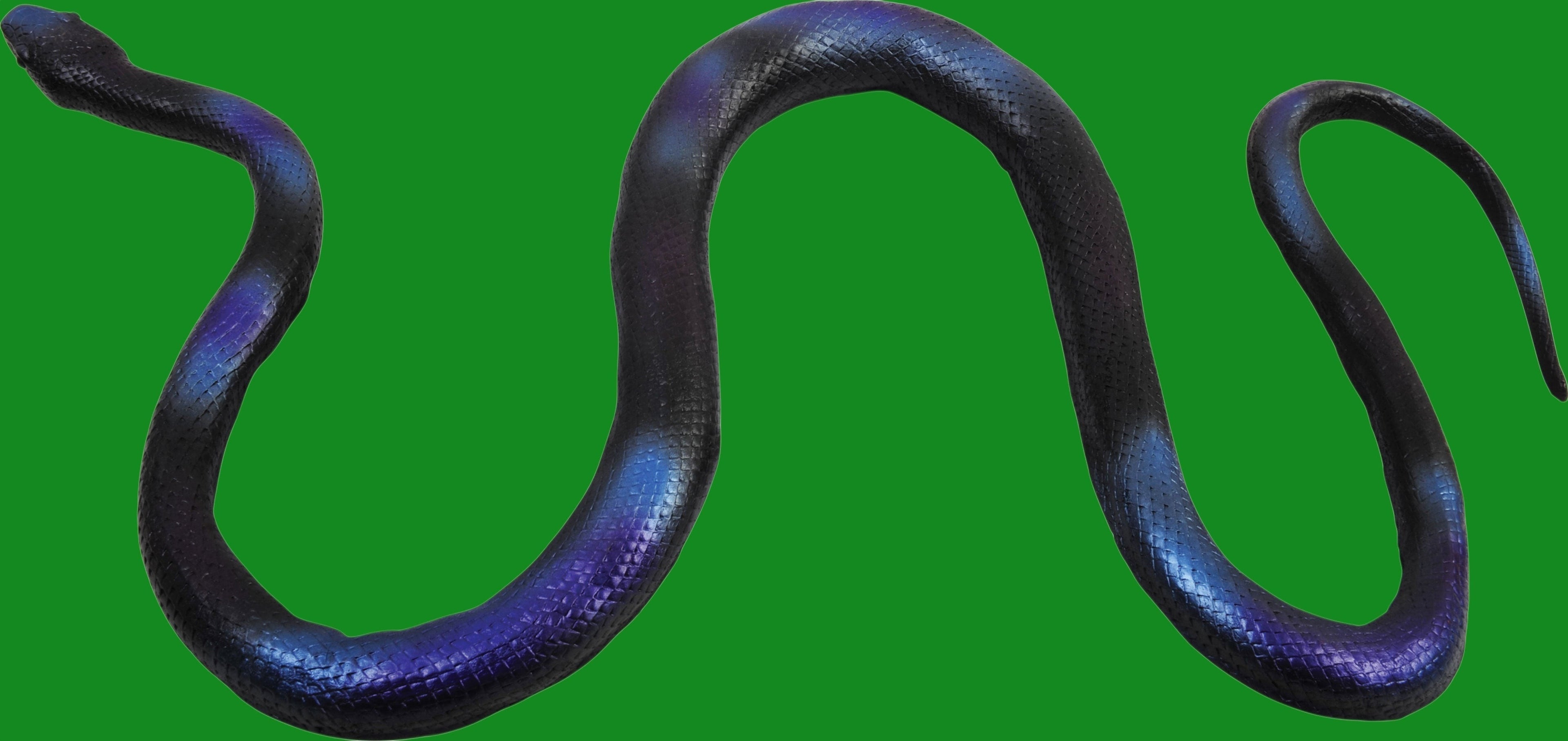 Halloween-Emporium realistic black snake decoration with iridescent sheen and detailed scales for spooky decor
