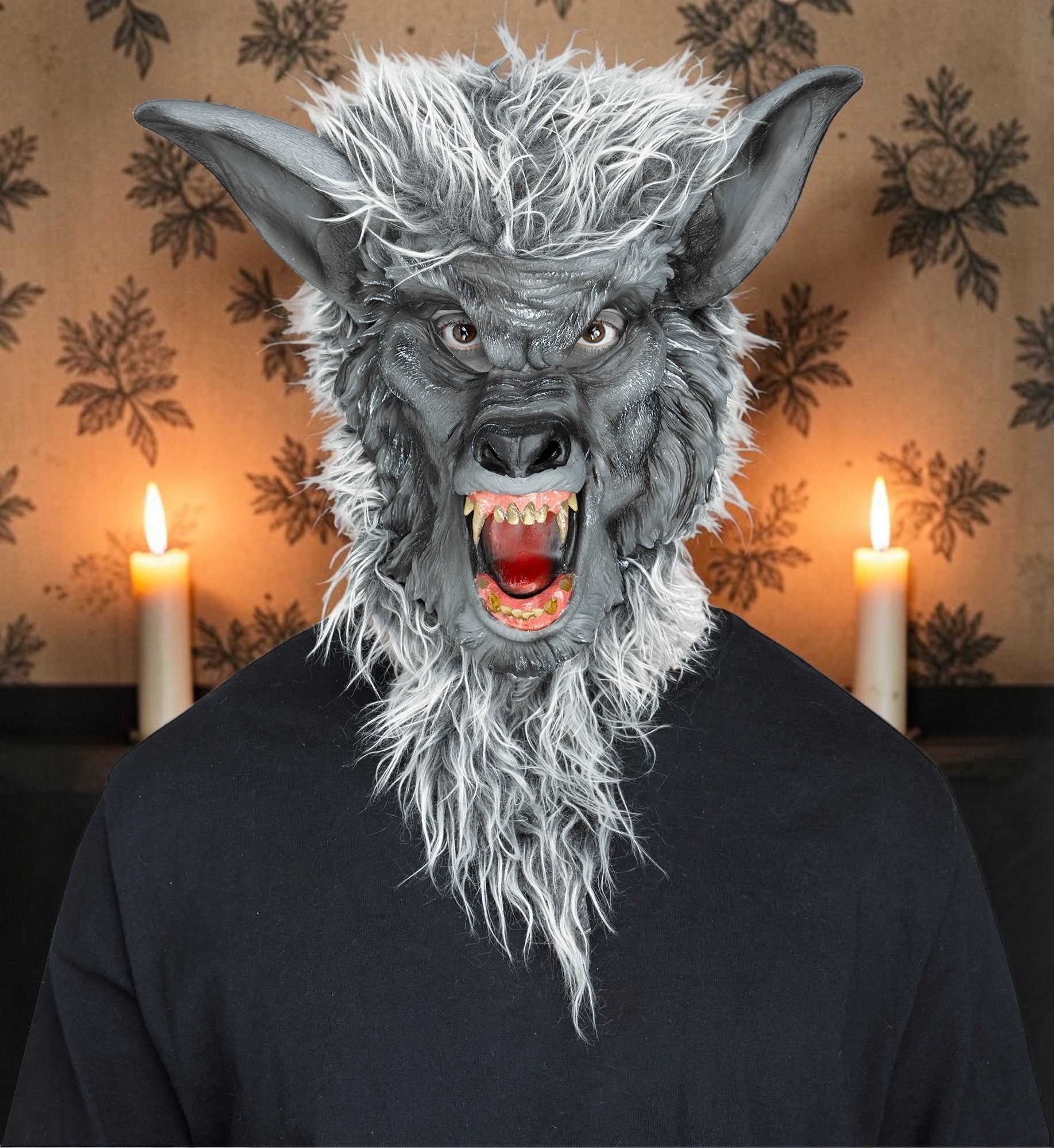 Halloween-Emporium realistic grey werewolf mask with synthetic fur, sharp teeth, and detailed facial features.