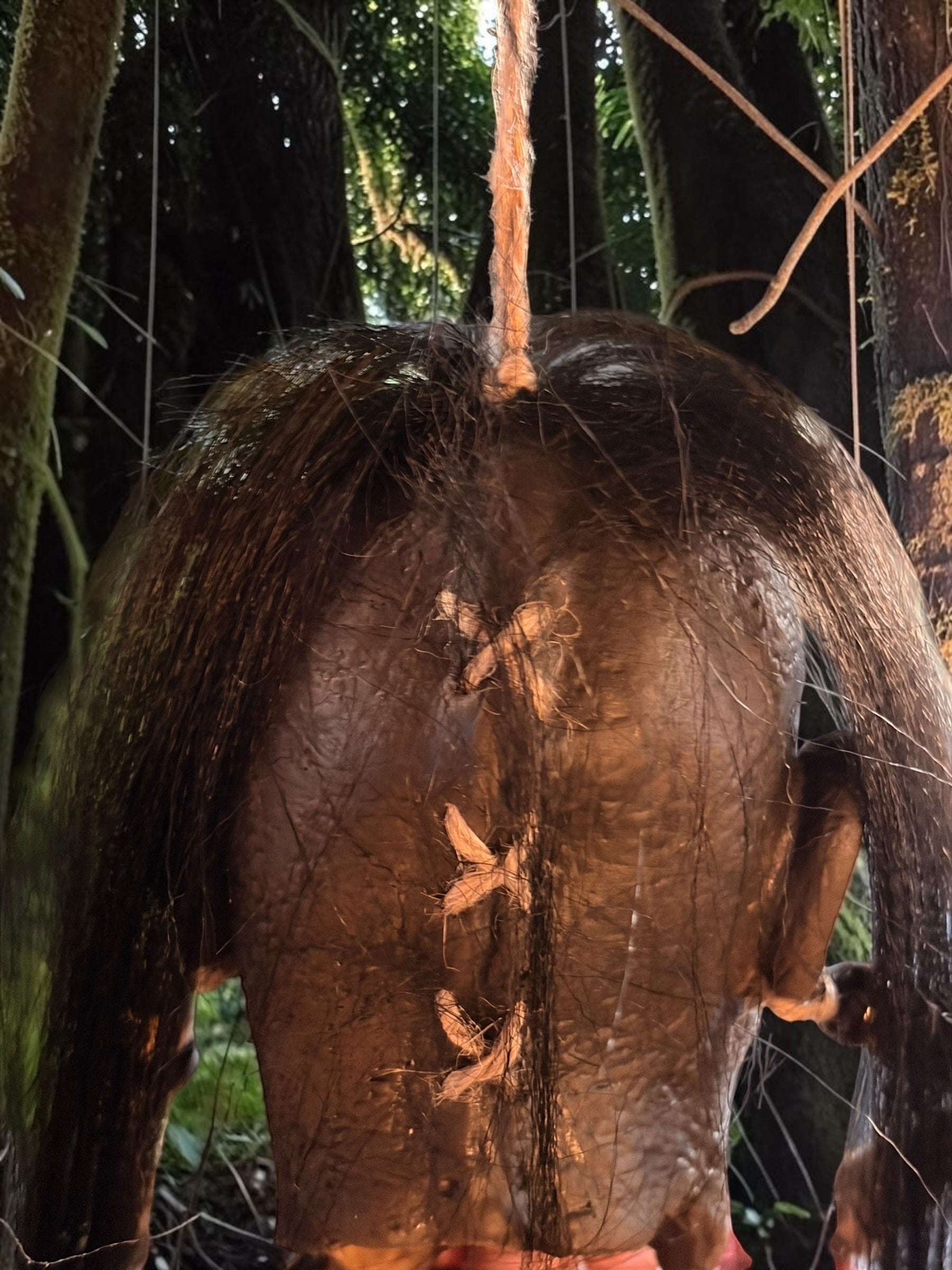 Halloween-Emporium latex shrunken head prop with hand-punched hair and stitched details hanging in a forest setting.