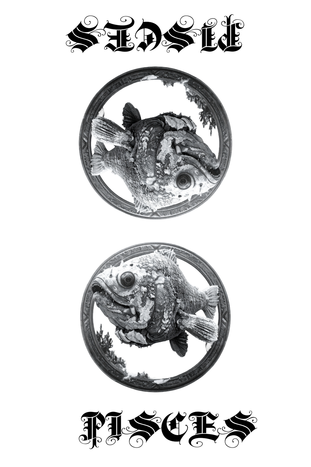 Halloween-Emporium Pisces tarot card design featuring a detailed black and white fish illustration in a circular frame.