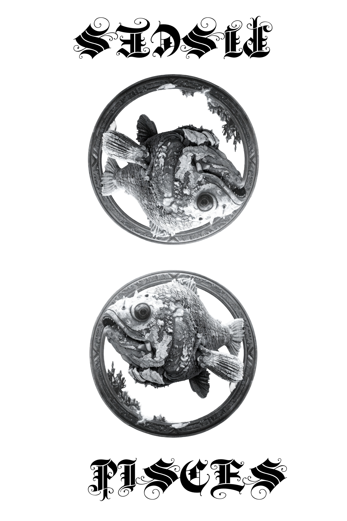 Halloween-Emporium Pisces tarot card design featuring a detailed black and white fish illustration in a circular frame.