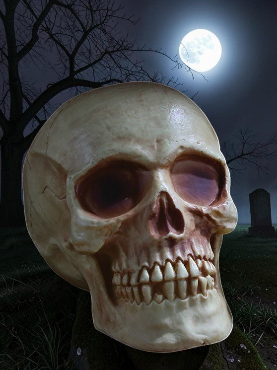 Halloween-Emporium 8-inch realistic human skull decoration with weathered bone texture in a spooky graveyard setting.