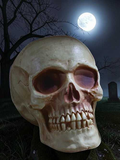 Halloween-Emporium 8-inch realistic human skull decoration with weathered bone texture in a spooky graveyard setting.