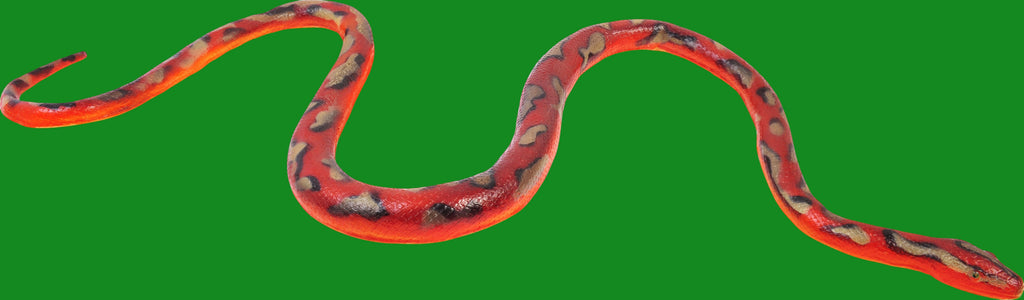 Halloween-Emporium realistic red patterned serpent Halloween decoration with lifelike scales for indoor or outdoor use