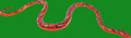 Halloween-Emporium realistic red patterned serpent Halloween decoration with lifelike scales for indoor or outdoor use