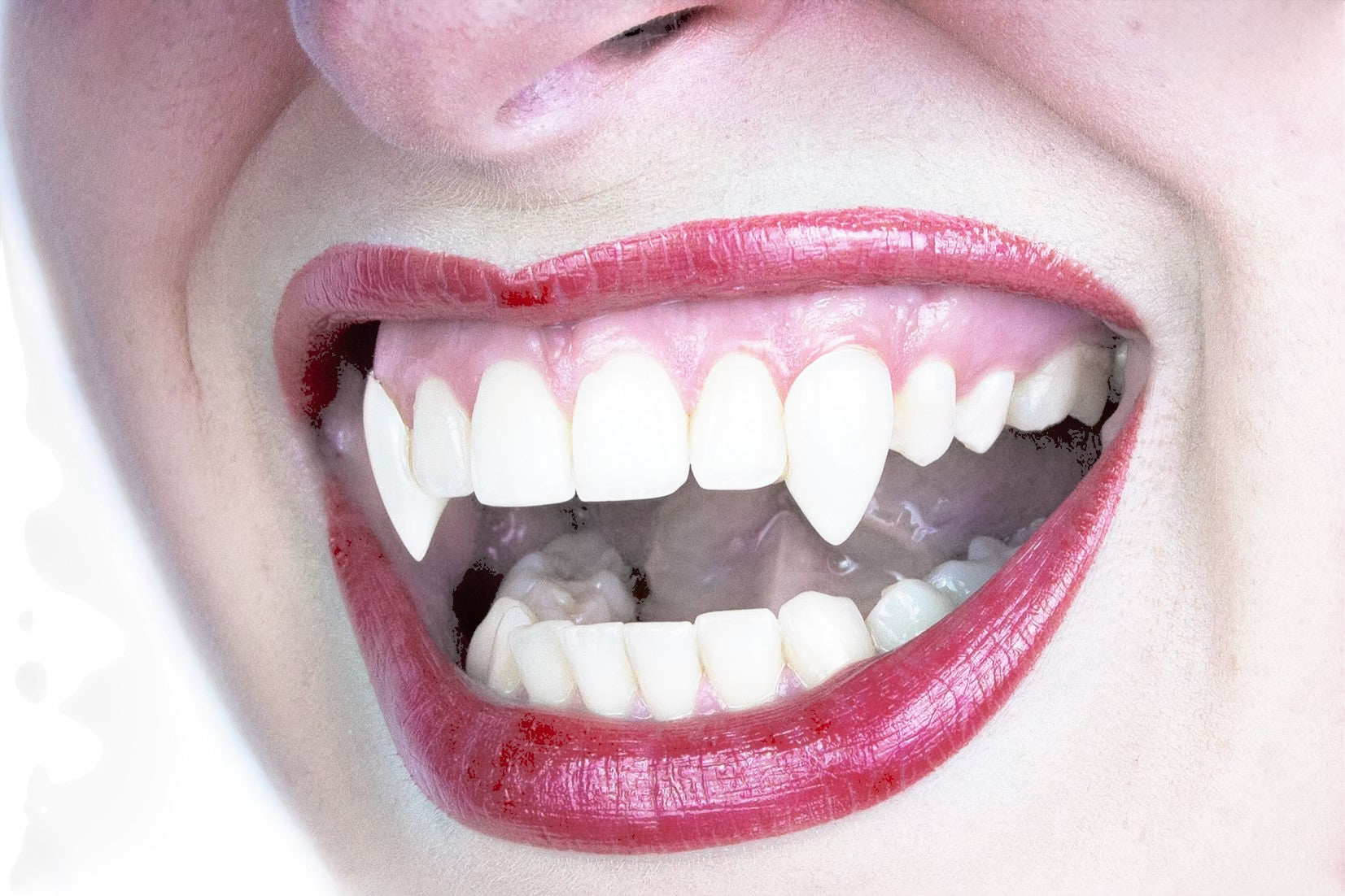 Halloween-Emporium small deluxe vampire fangs worn on natural teeth for a realistic and subtle costume look