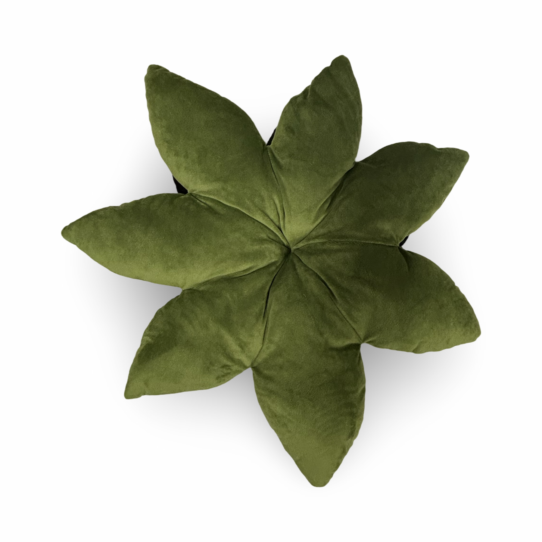 Black Poinsettia 21" Throw Pillow