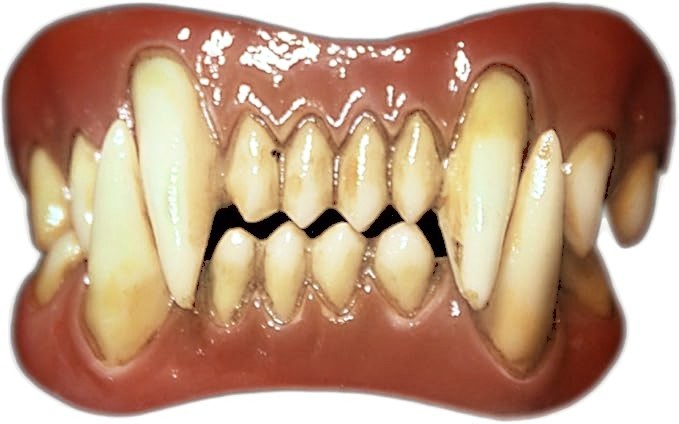 Dental Distortions/Realistic Costume Fangs Accessory